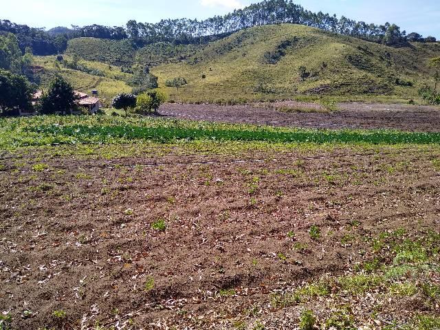 Sitio minis freire 4 alqueires - Foto 15