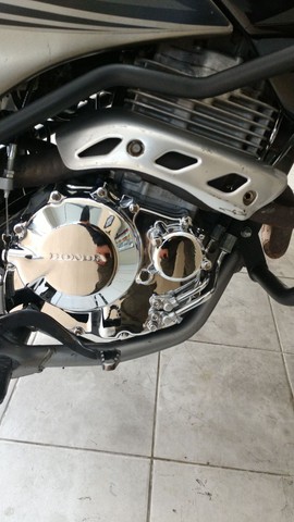 FALCON TOP