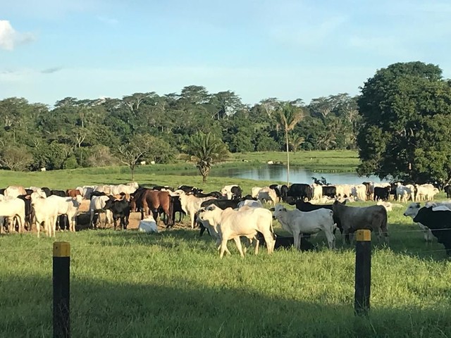 Fazenda em Juara - MT. 2.090 hectares - Foto 2