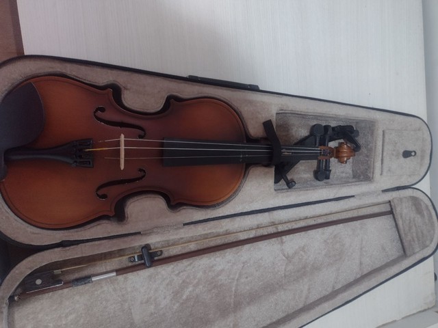 Violino