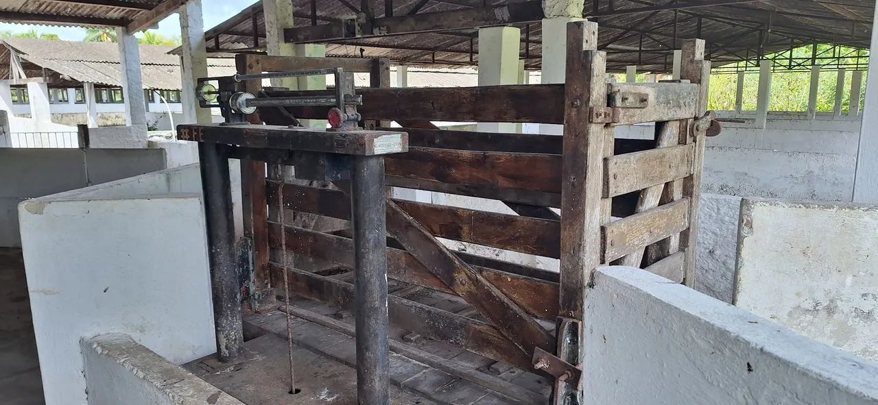 Balança Filizola  - Foto 2