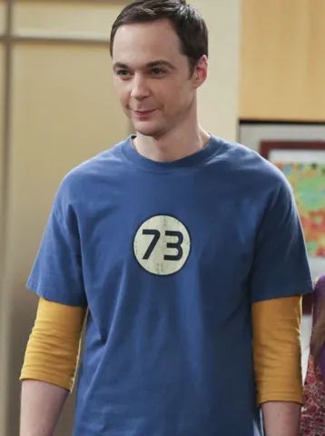 Camiseta The Big Bang Theory Sheldon Cooper 73