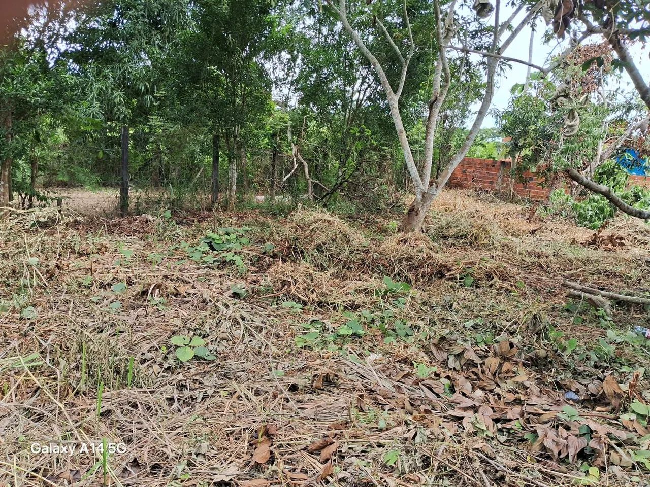 Vende-se terreno  - Foto 5