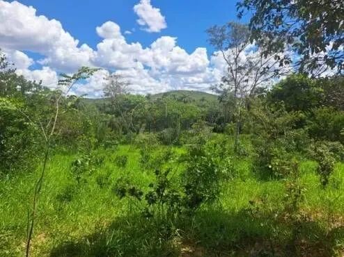 Negociando  - Foto 10