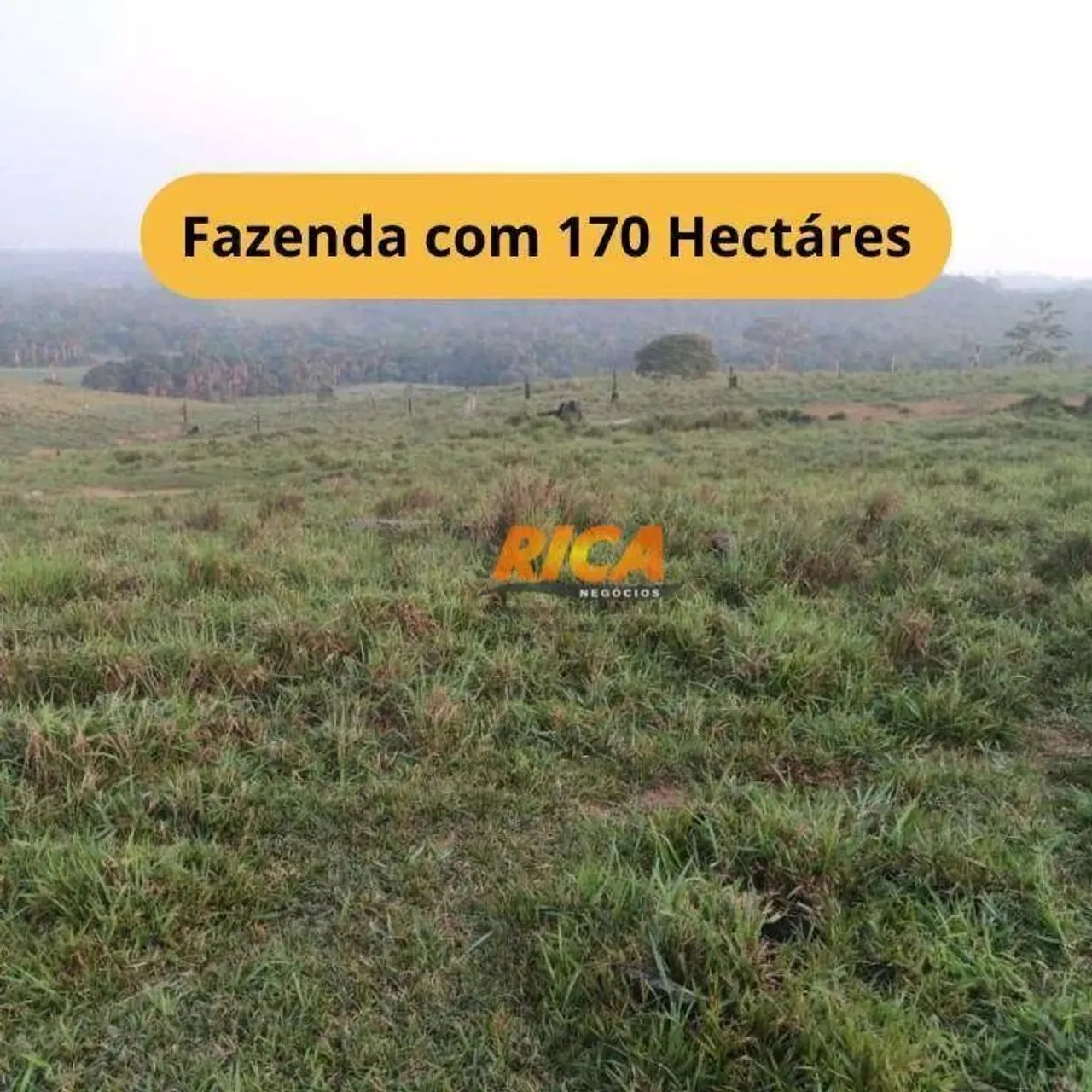 Excelente Fazenda à venda em Apuí com 170 Hectares !