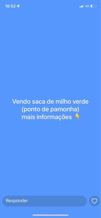 Saca de milho verde para pamonha 