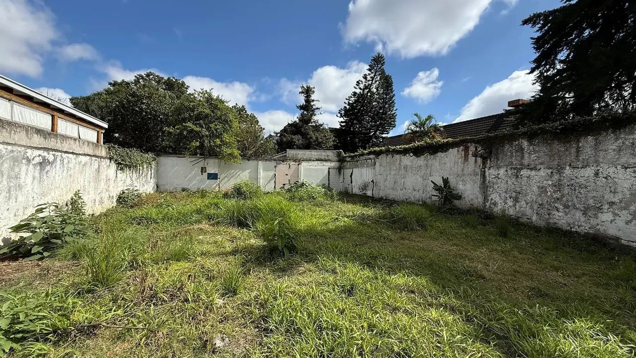 Terreno Venda  - Hugo Langue - Foto 3