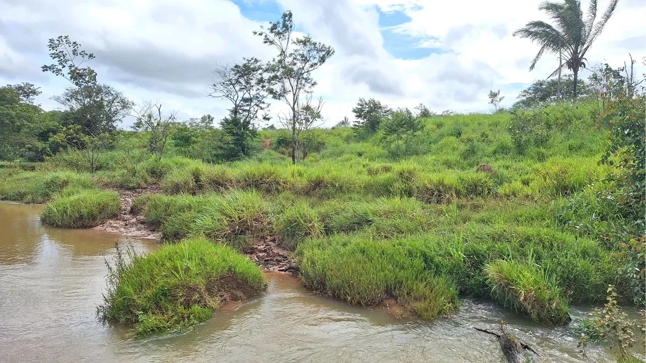 Vendo Sítio 10 Alqueires 4 km De Alvorada Do Oeste! - Foto 4