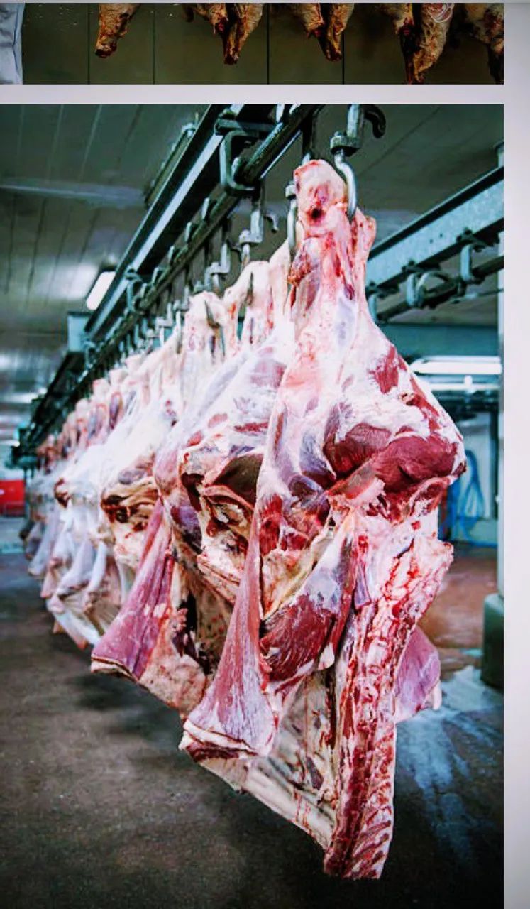 Venda de, carcaça bovina.!!!! - Foto 3