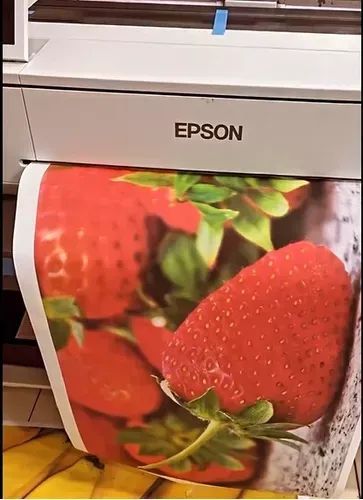 Adaptaçao Epson T3170 para Bulk Ink ! - Foto 3