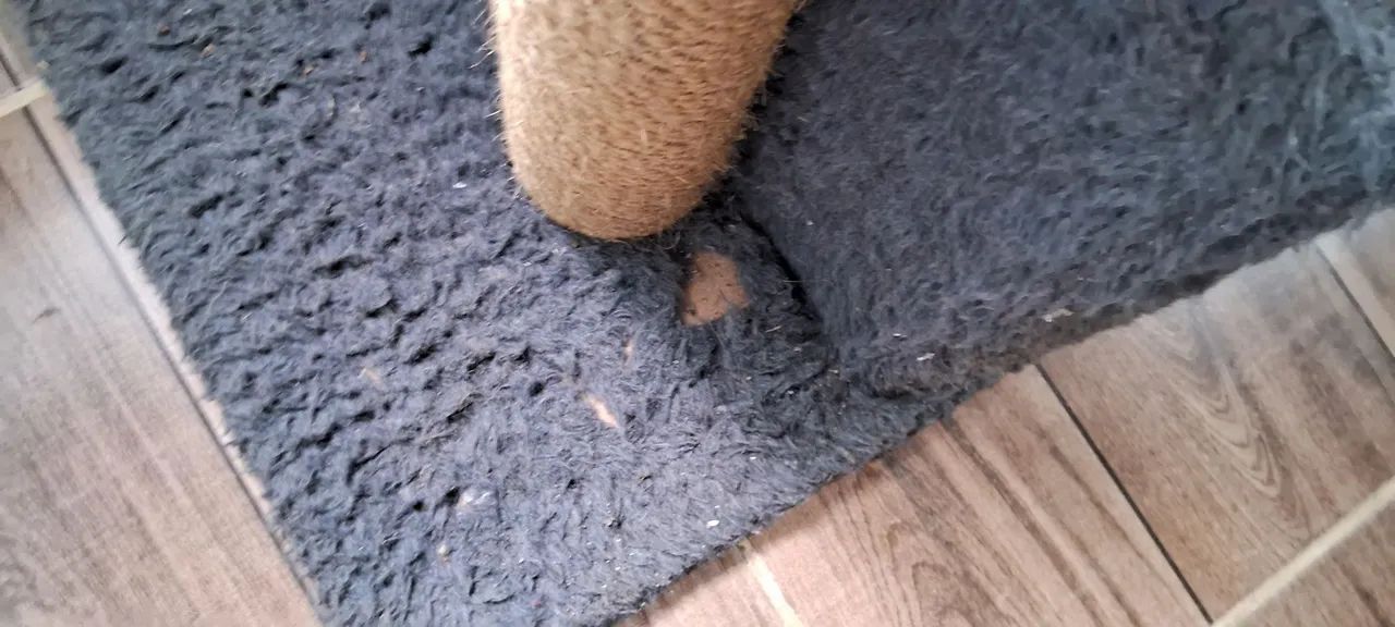 Arranhador para gatos  - Foto 2