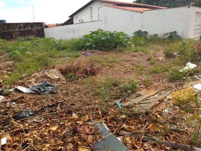 Lote Setor dos Afonsos 450m2 - Foto 5