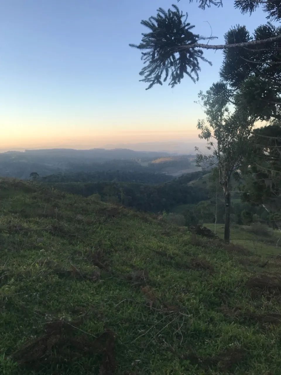Terreno 3 hectares Bom Retiro/SC (OPORTUNIDADE)  - Foto 3
