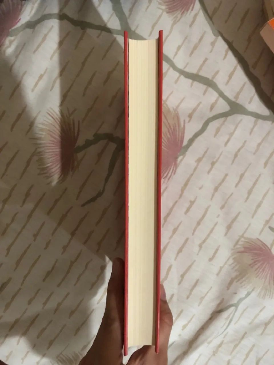 A outra garota negra  - Foto 3