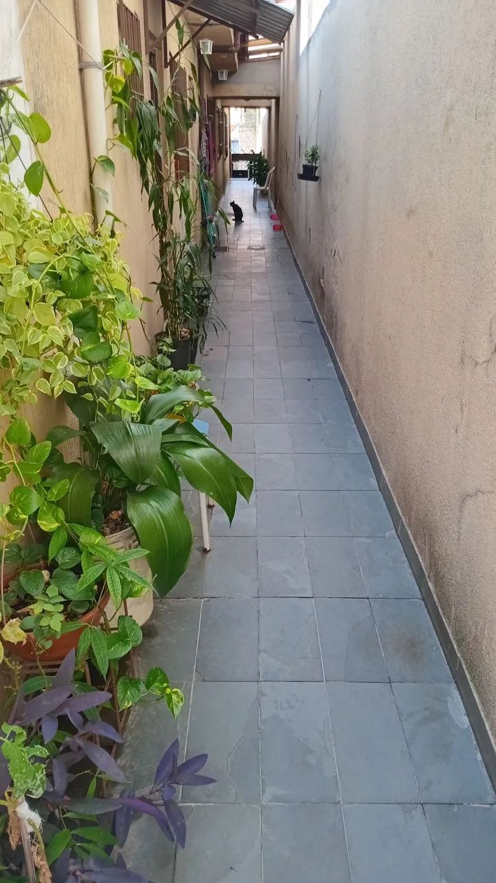 Foto - São Paulo - Jardim Matarazzo