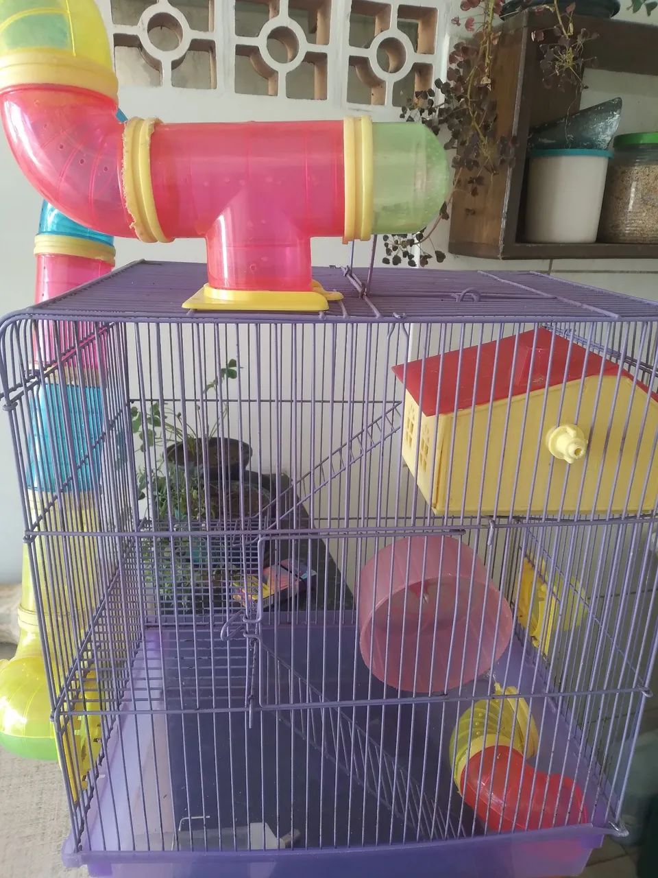 Gaiola para Hamster com Acessórios - Foto 3