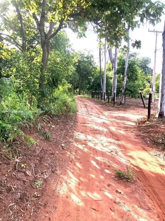 Pesqueiro para Venda em Aquidauana, Camisão - Foto 2