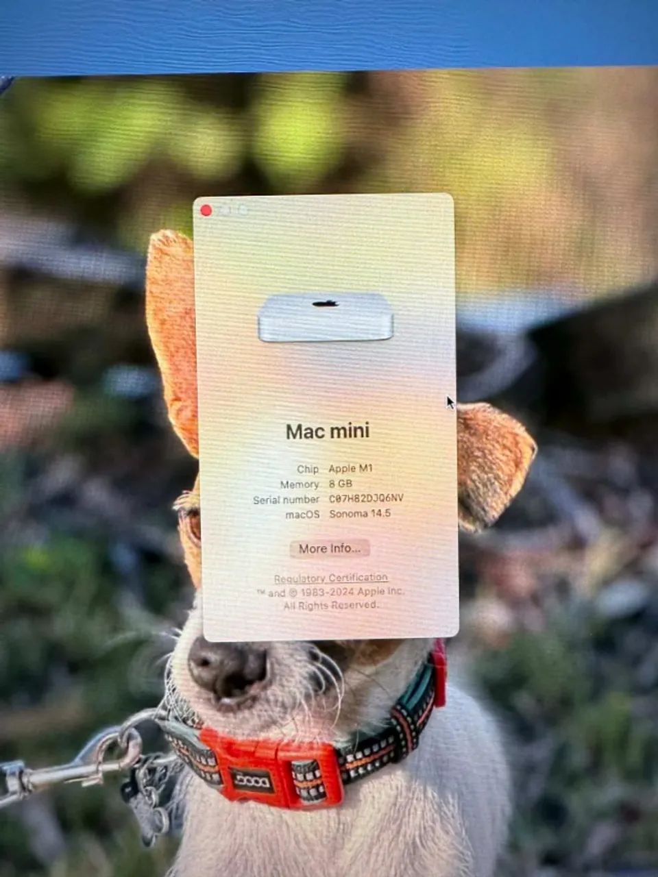 MAc mini M1 - Foto 2
