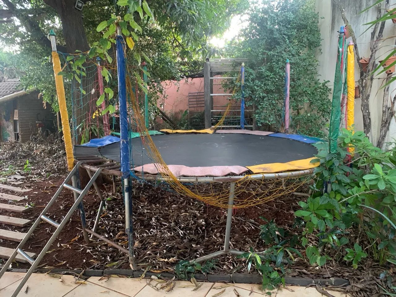 Cama Elástica 