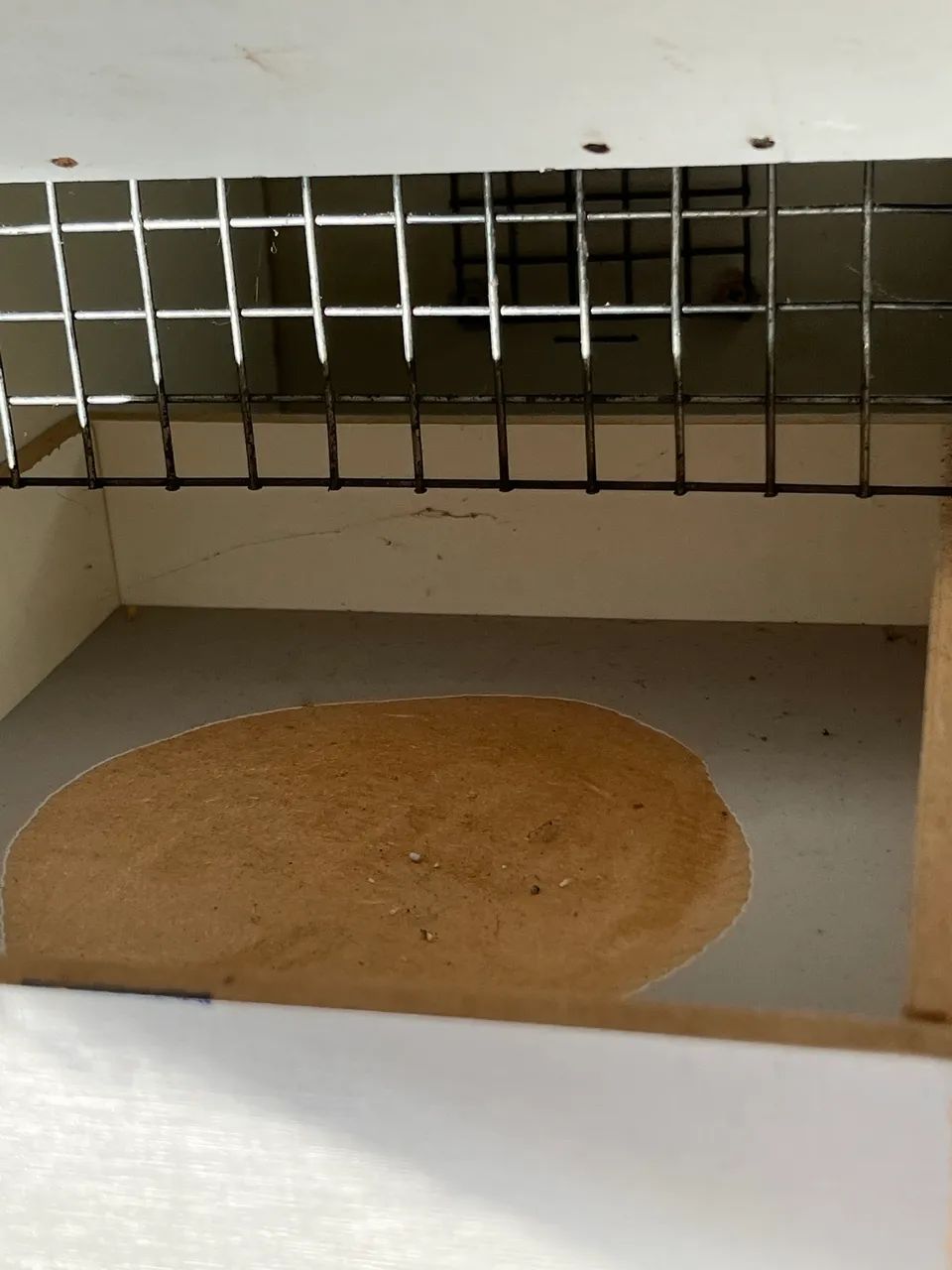 Viveiro completo64293084300034124