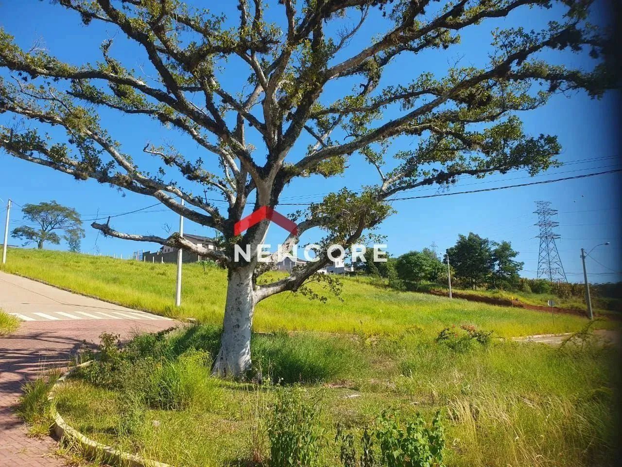 Lote em Santa Rita - Berto Círio - Nova Santa Rita/RS - Foto 3