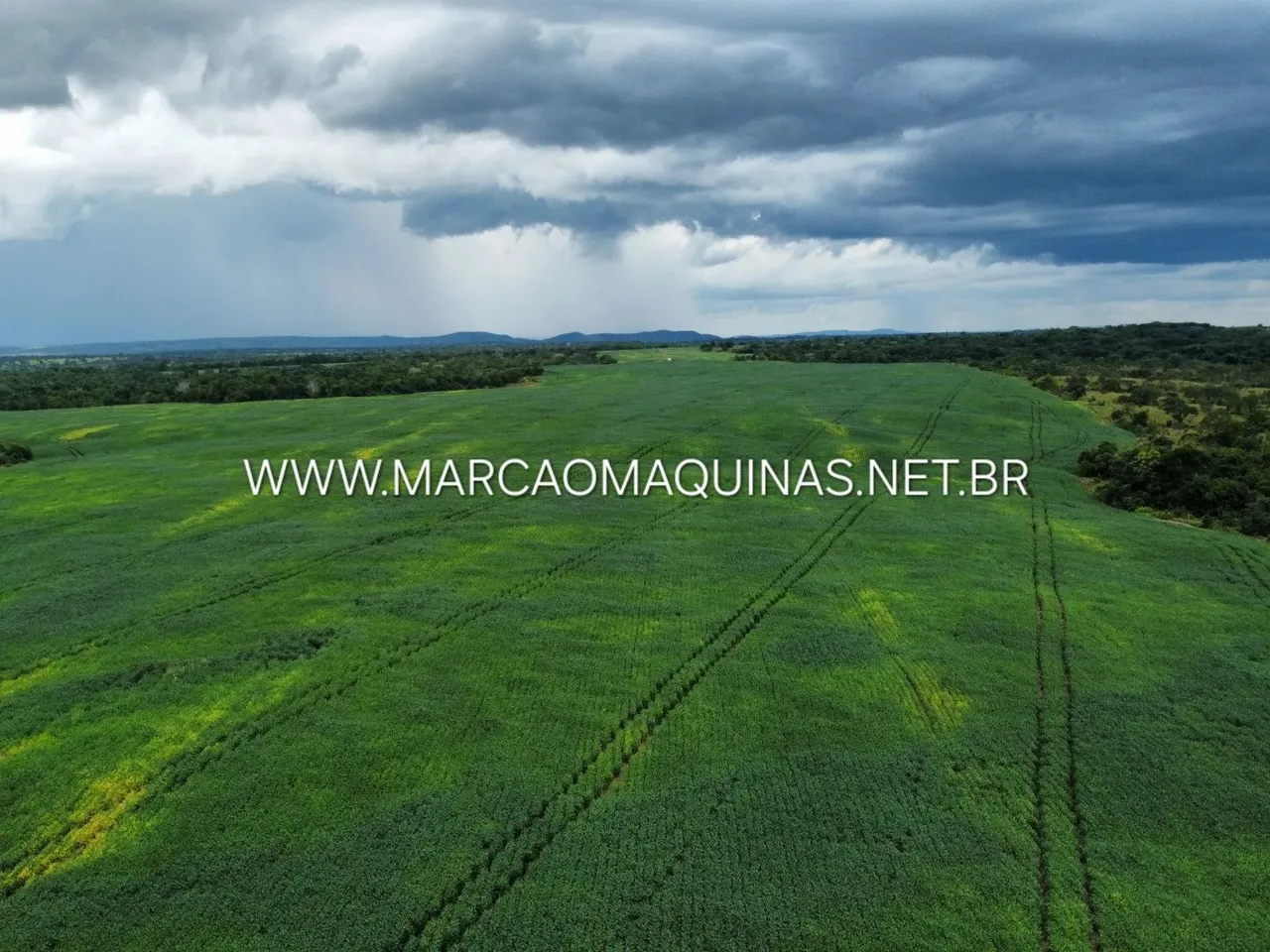 Vendo - Fazenda no Vale do Araguaia Tocantins - Sendo 1.132 hectares com duas escrituras
