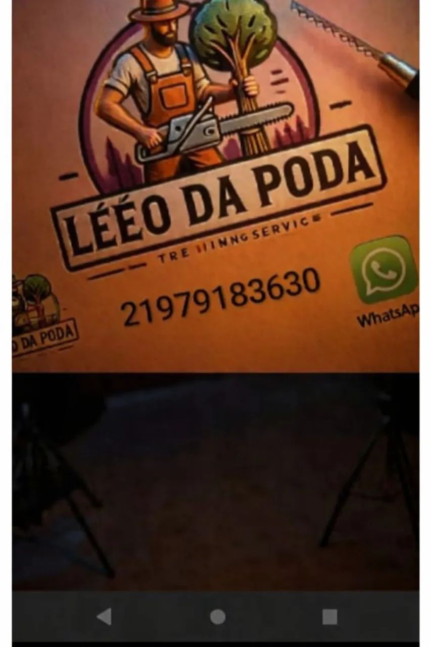 Poda e corte de árvores 449260997429186563