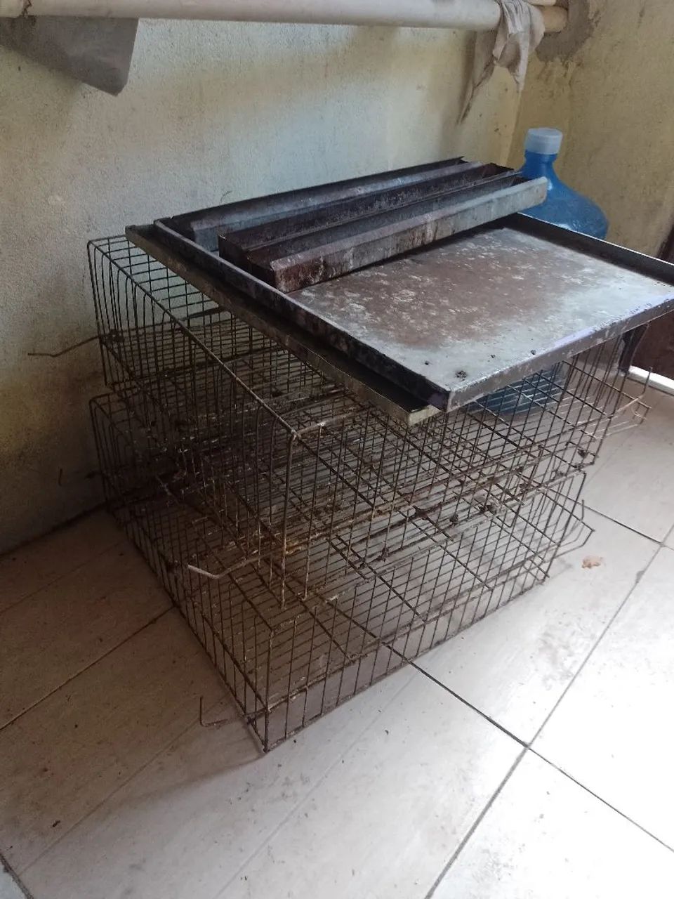 Gaiola para Codornas 