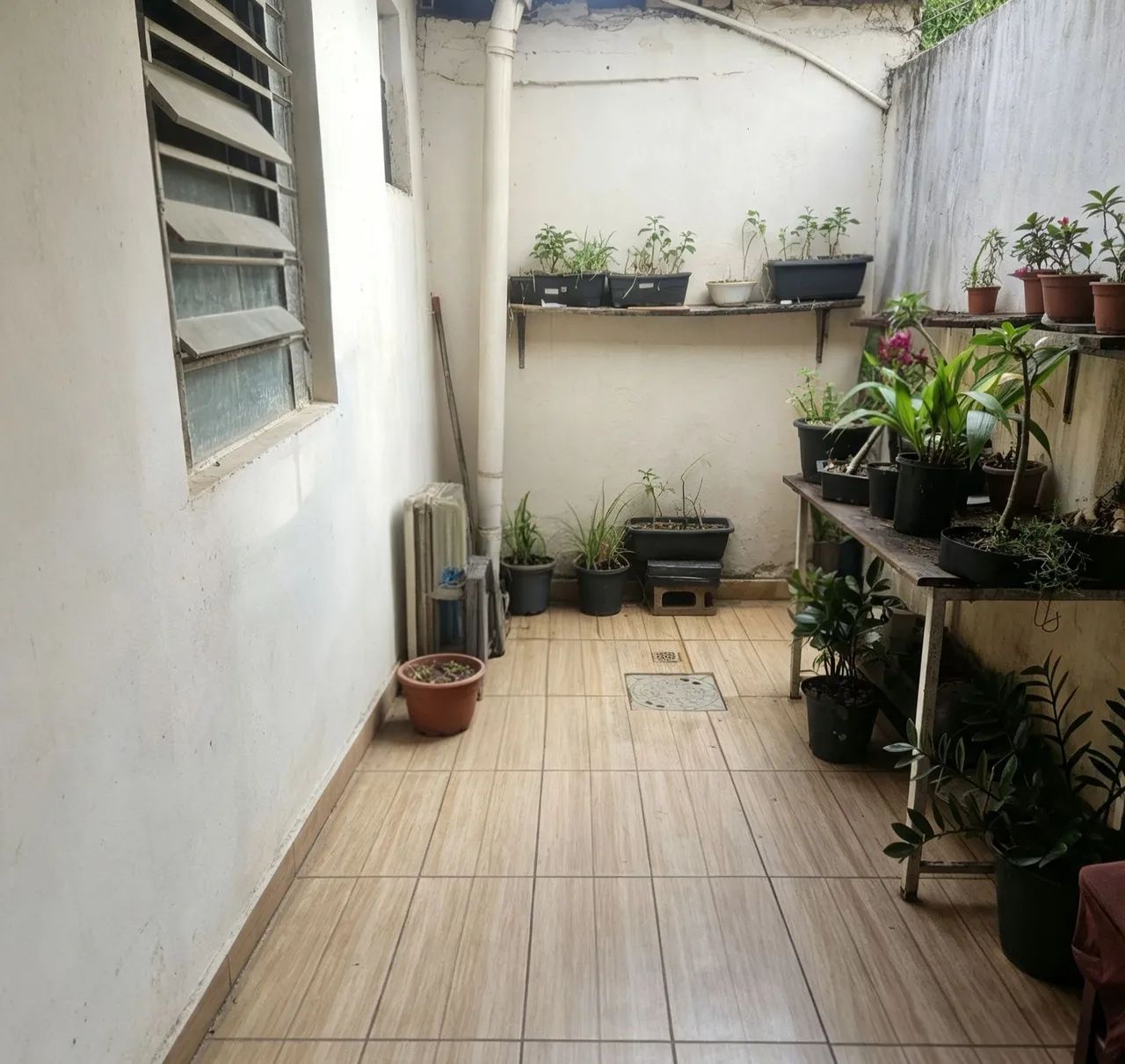 Duas casas e um cômodo comercial - Foto 5