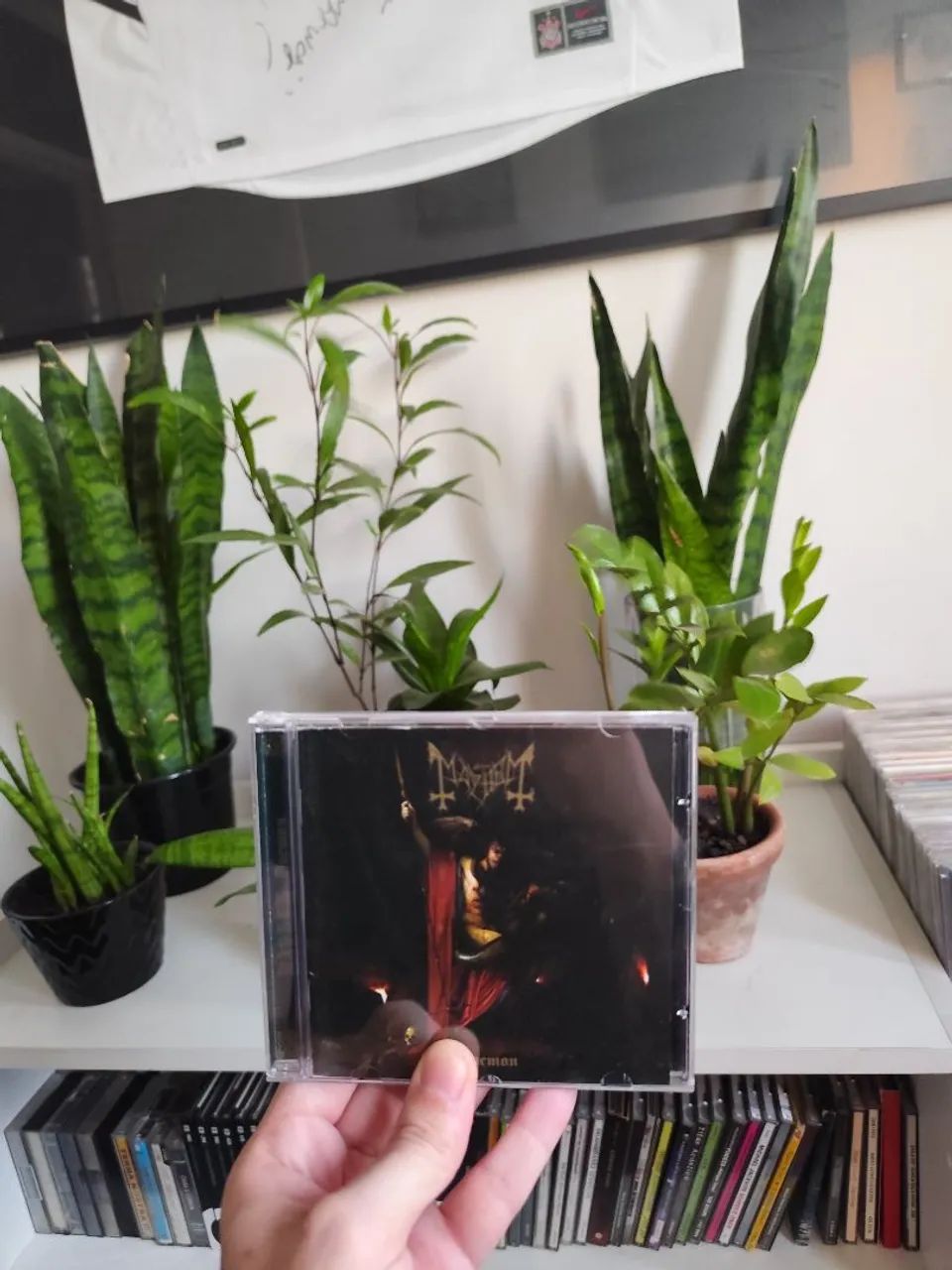 CD Mayhem - Daemon (2019) - Foto 3