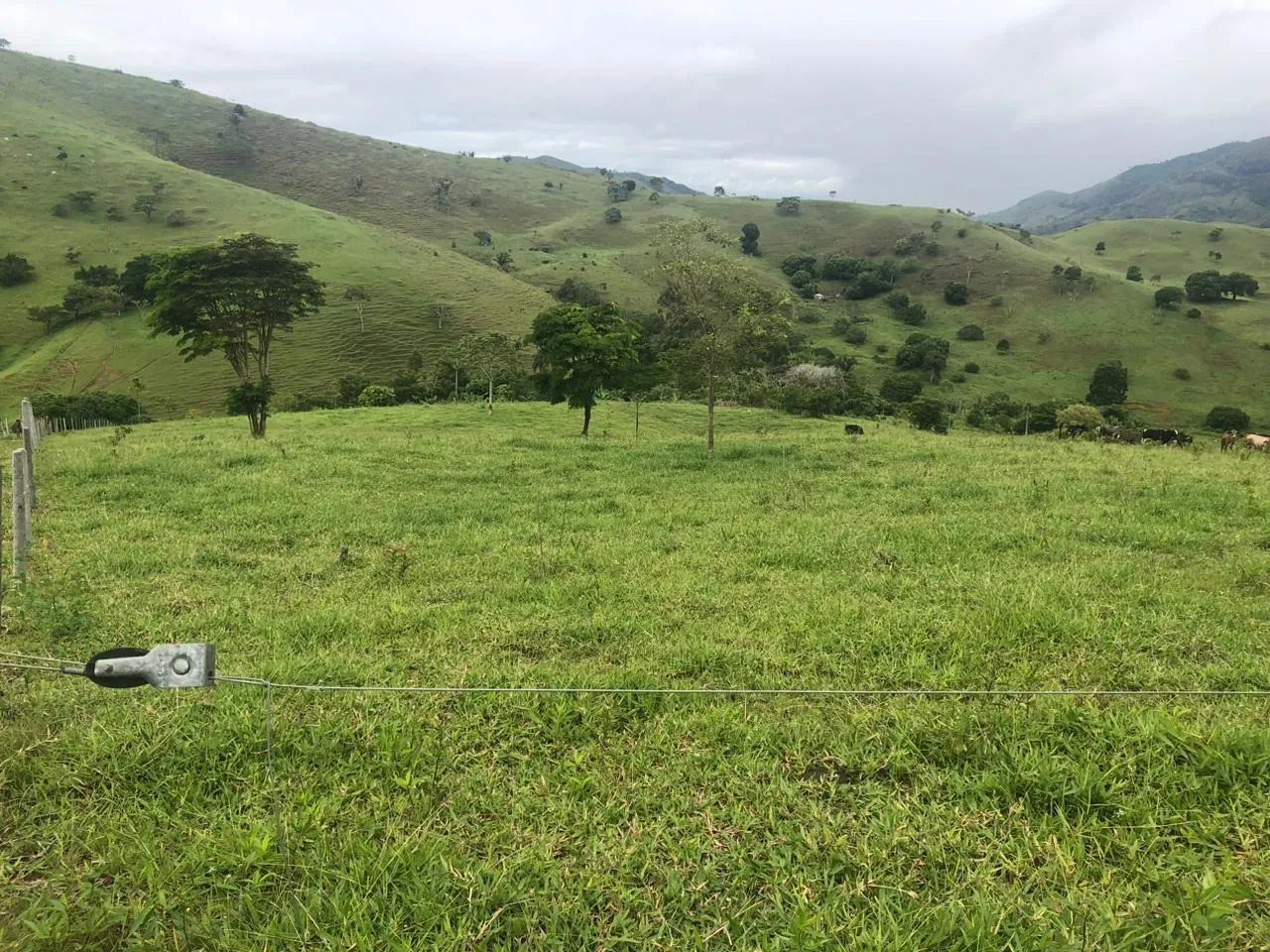 Terra a Venda em Itarantim  - Foto 3
