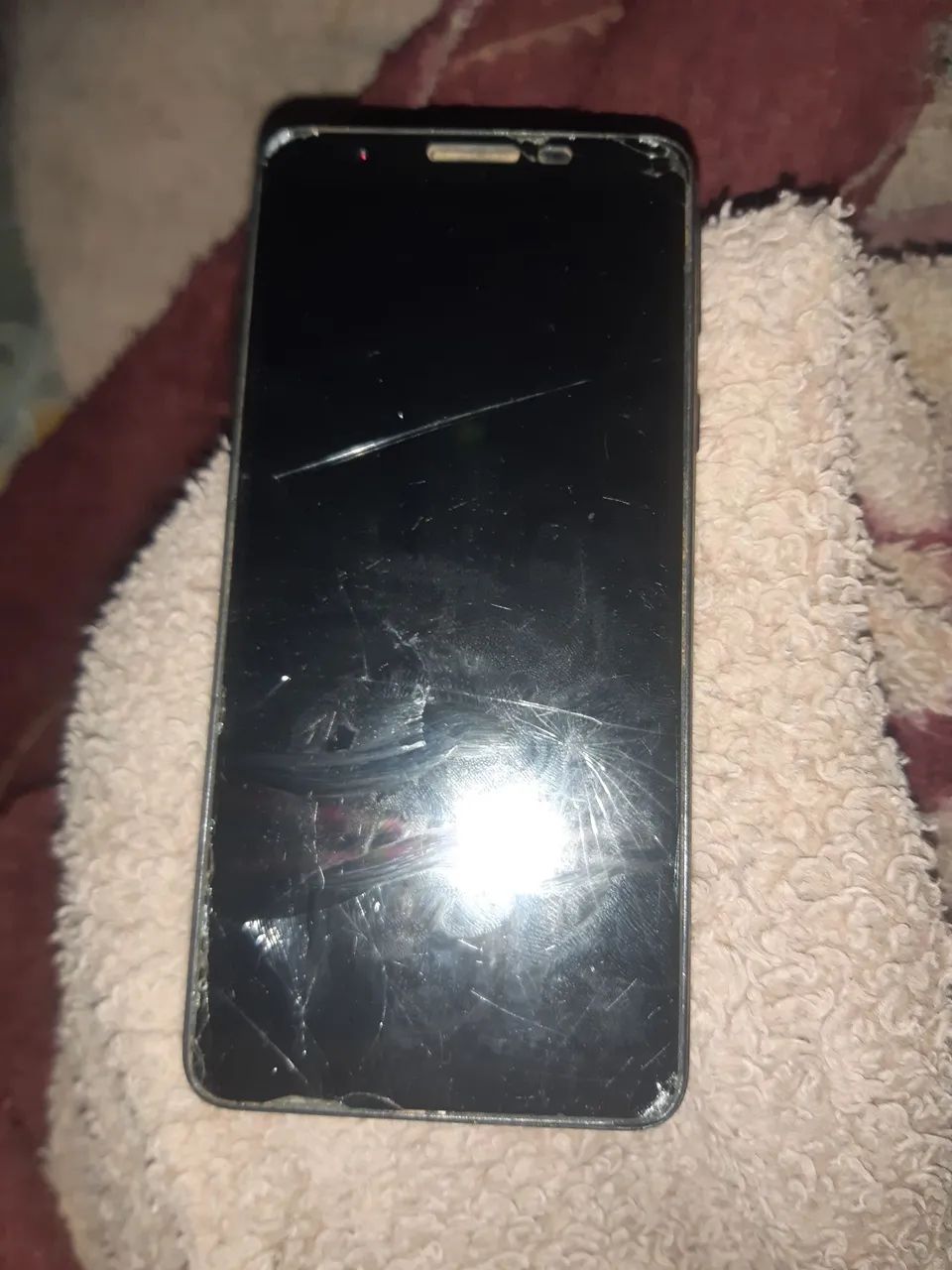 Celular 