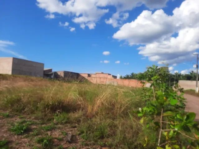 TERRENO GREENVILLE 300 m² - Foto 5