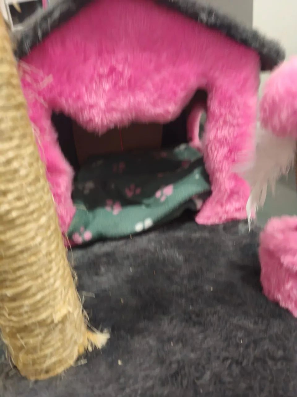 Casinha para gato65126370342657123