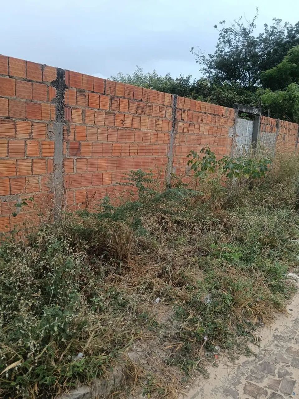 Terreno 10x30  - Foto 2