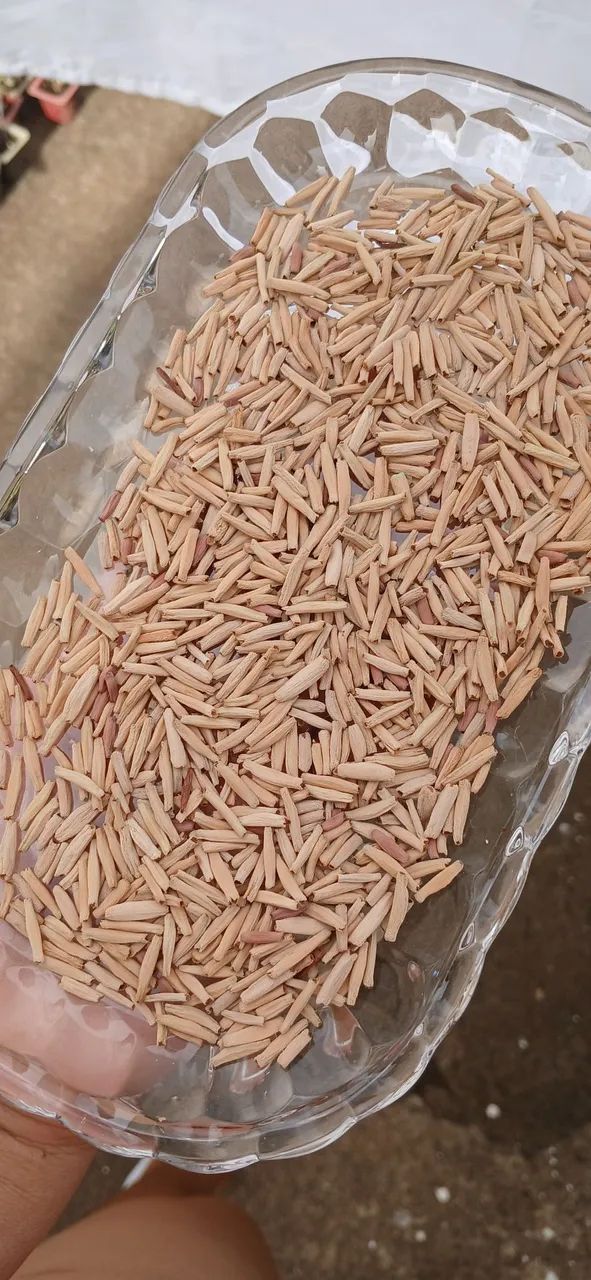 Sementes Rosas do Deserto  - Foto 3