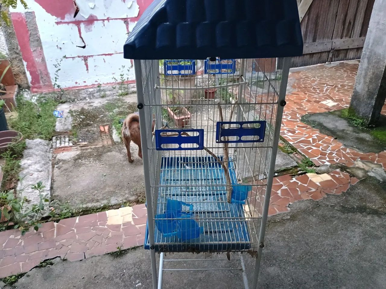 Gaiola de pássaros  - Foto 2