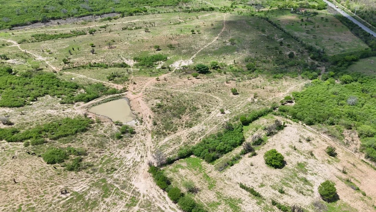 Fazenda  - Foto 2