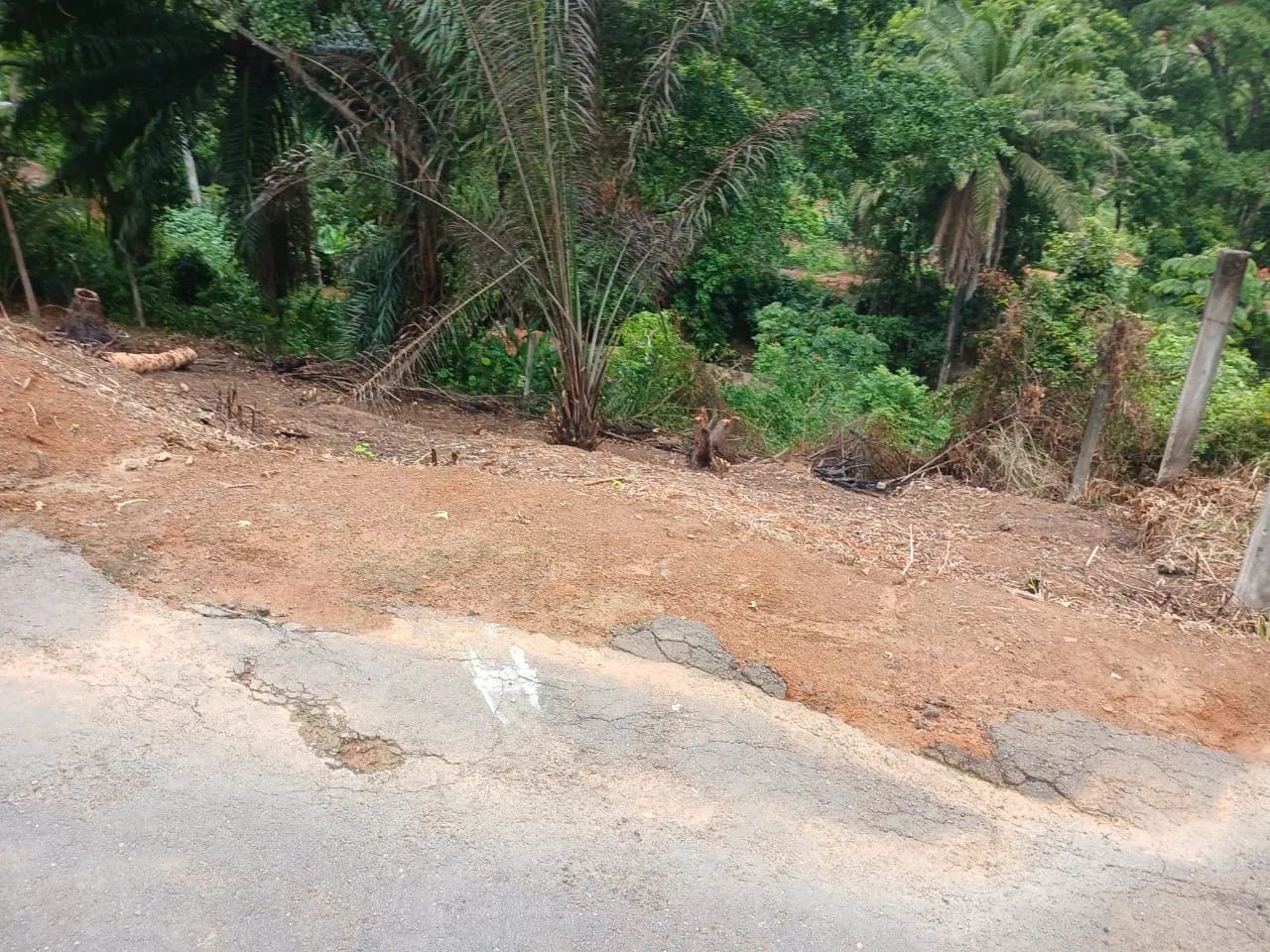 2 LOTES JUNTOS EM MUSSURUNGA | 400m² - Foto 4