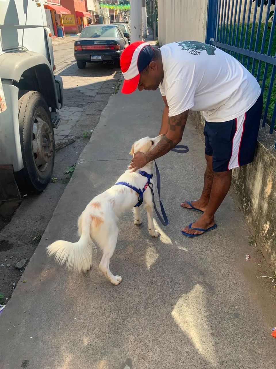 Cachorro para doação  - Foto 5