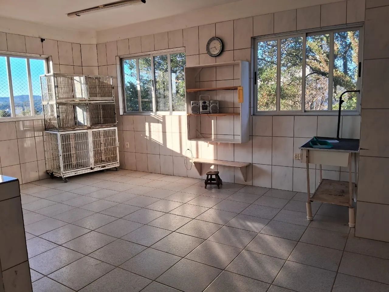 Sala Comercial - Ideal para Pet shop - Foto 3