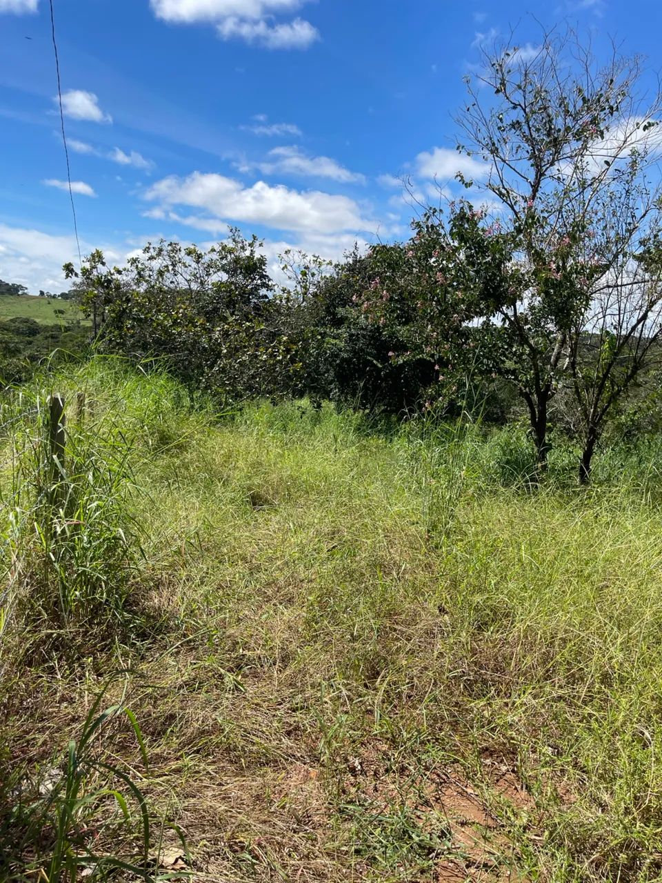 Chácara de 1.000M em senador Canedo  - Foto 2