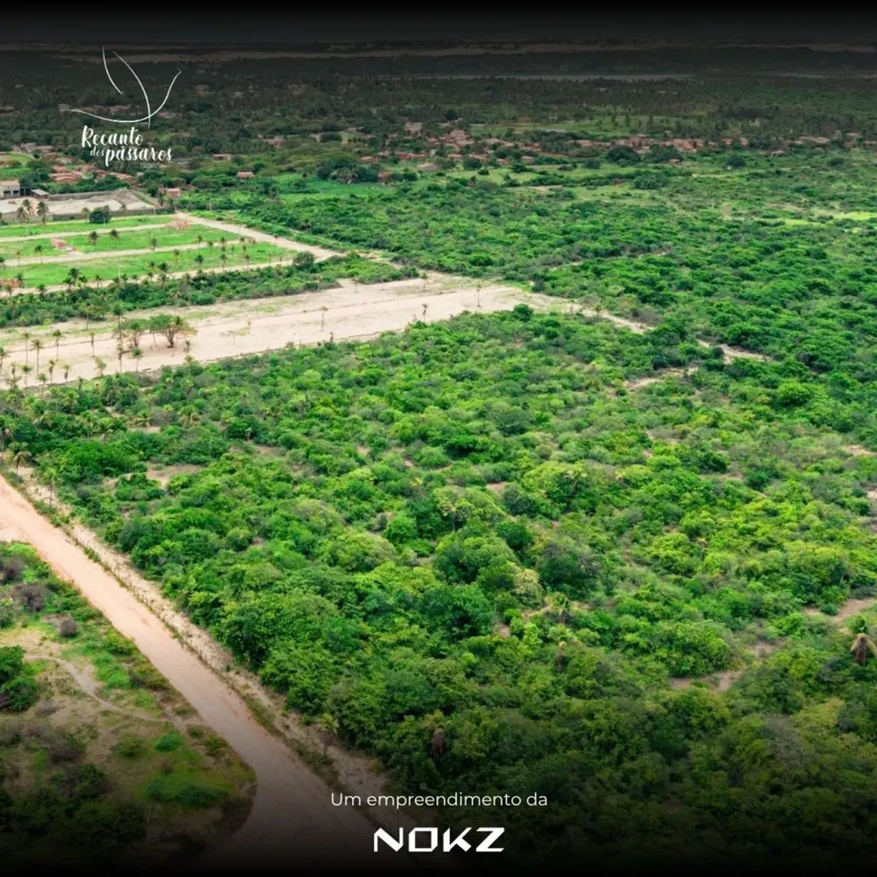 Lotes Comerciais à Venda em Trairi/CE  Recanto dos Pássaros - Foto 5