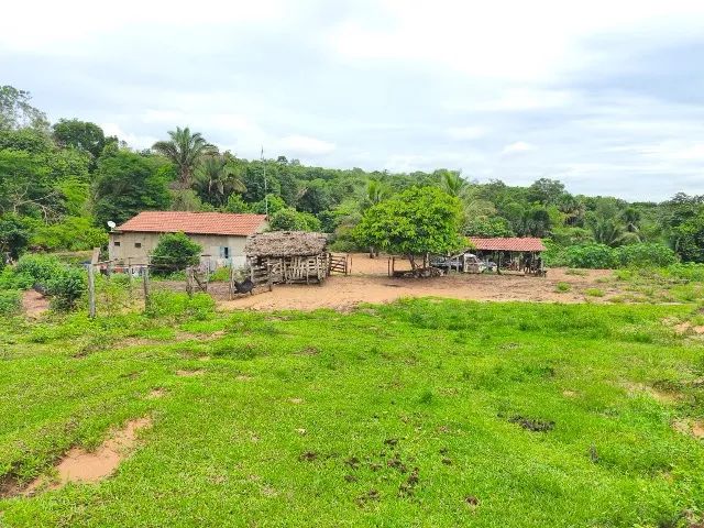 Fazenda  - Foto 5