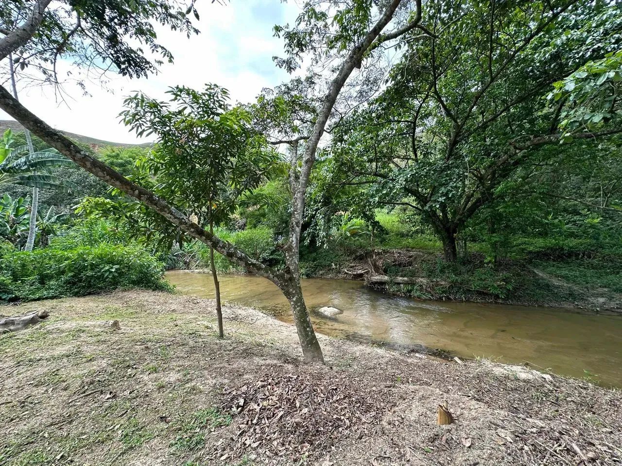 Fazenda/Sítio/Chácara para venda tem 3700 metros quadrados com 5 quartos - Foto 2