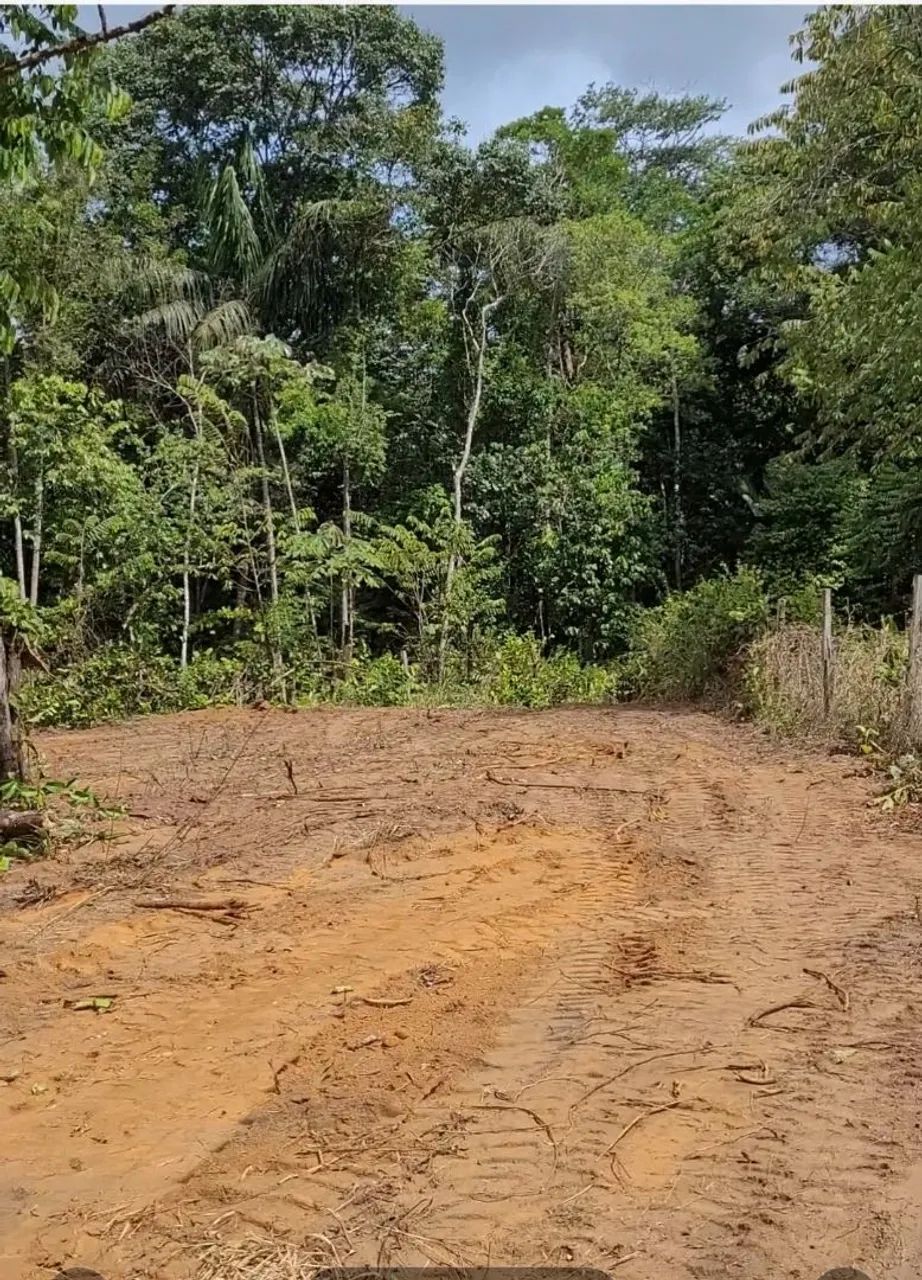 TERRENO - Foto 2