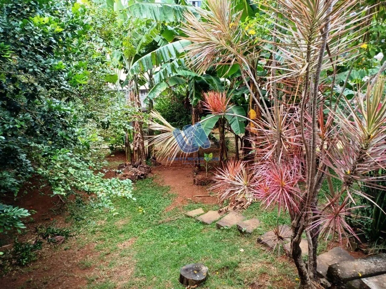 Terreno com 774m2 no Rio Vermelho - Foto 5