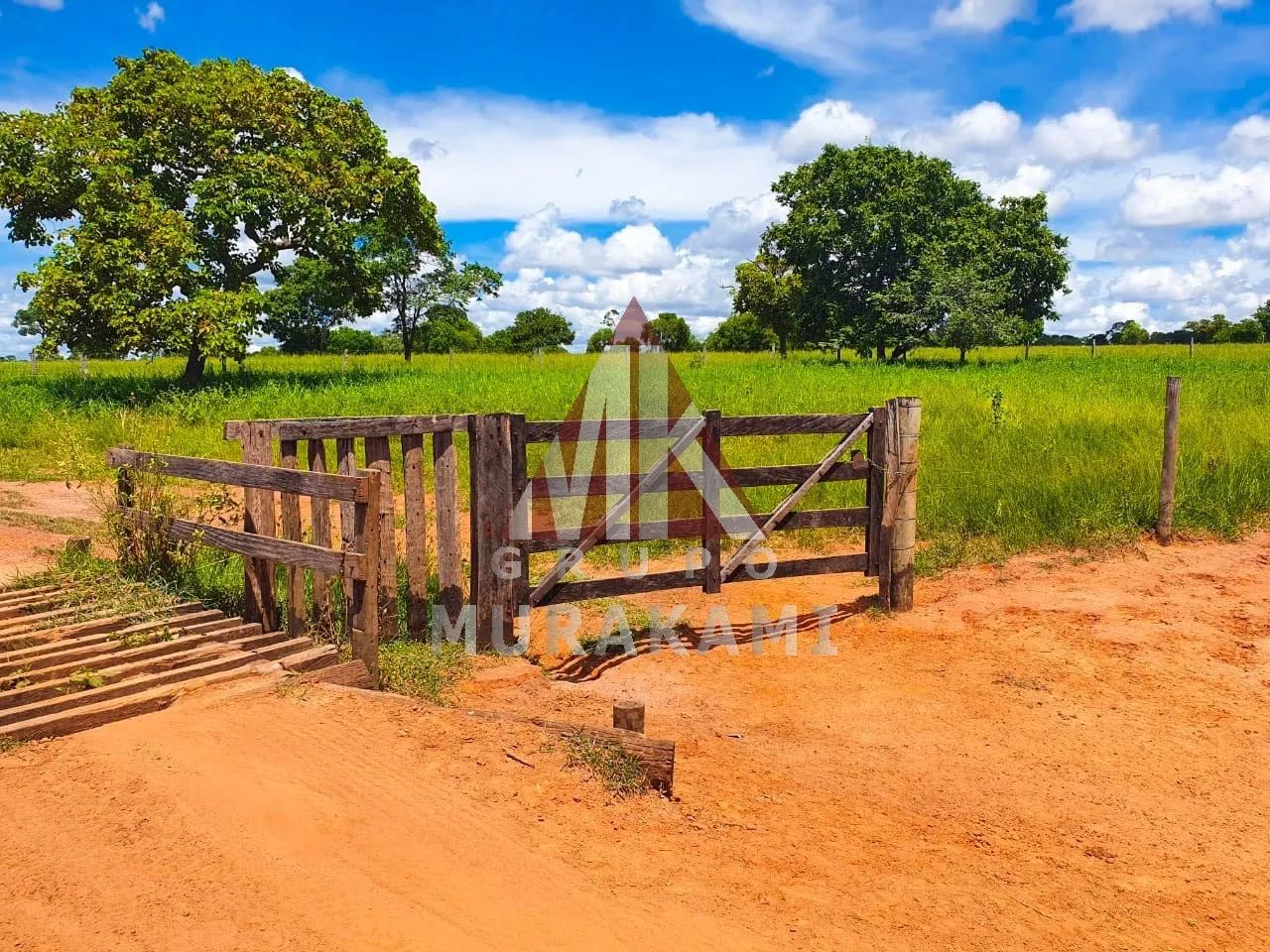 FAZENDA - RIO NEGRO - MS - Foto 4
