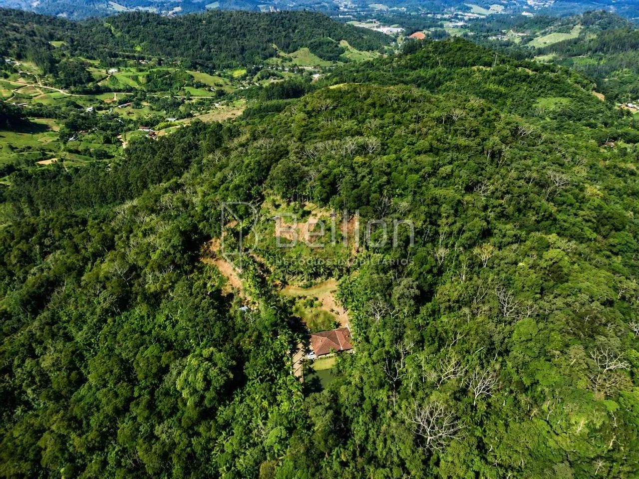 Sítio à Venda em Timbó com 30.000 m², Lagoas e Nascente - Foto 4