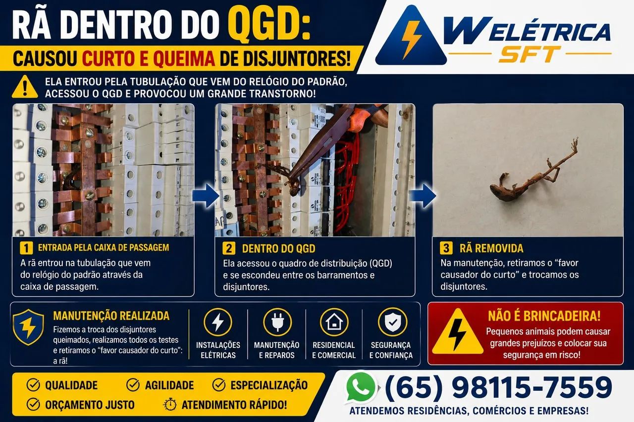 ELETRICISTA